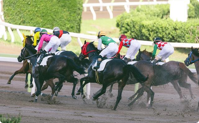 競馬