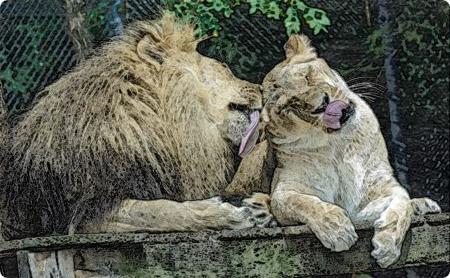俺 ライオンの交尾ってメスから誘うんだってー 嫁 ふーん その夜 一回は一回です 2ch修羅場 復讐まとめ 俺 ライオンの交尾ってメスから誘うんだってー 嫁 ふーん その夜 一回は一回です 2ch修羅場 復讐まとめ