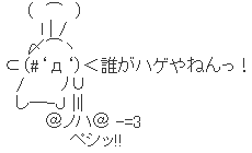 【ハゲ】