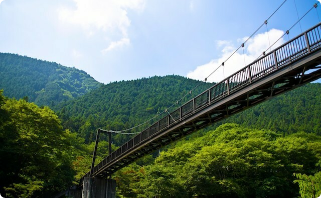 橋