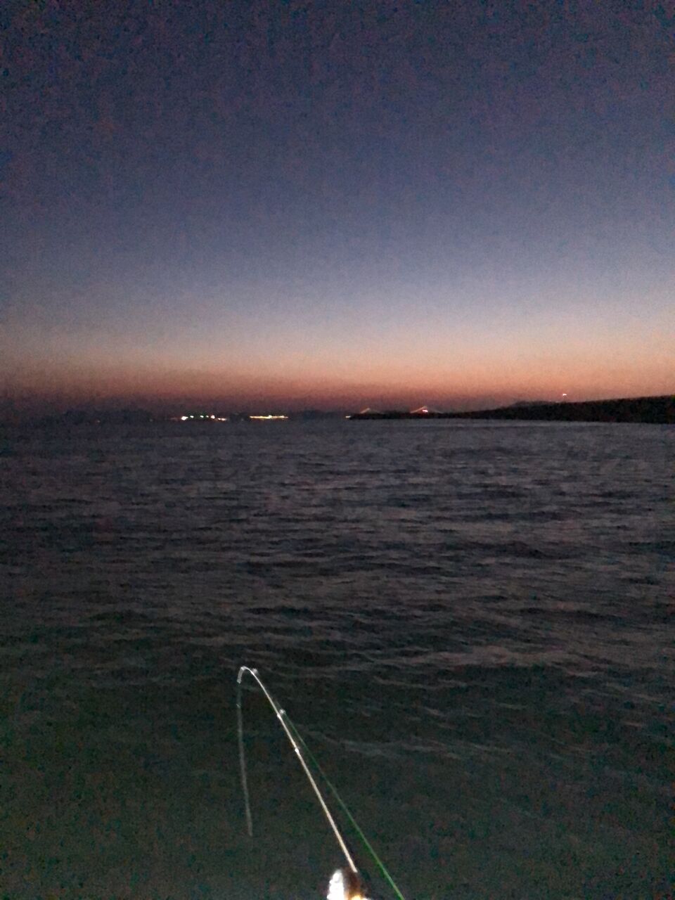 釣人家で半夜メバルの話 阪神タコ釣り日記