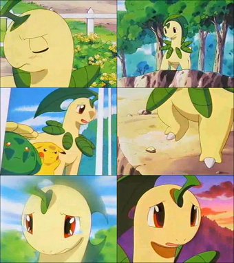 チコリータお風呂に入れたンゴｗｗｗｗｗｗｗｗｗｗｗｗｗｗｗｗｗｗｗｗｗｗｗｗｗｗｗｗｗ まとめまっくす