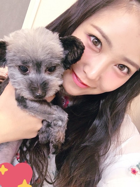 AKB48まとめ マトセン