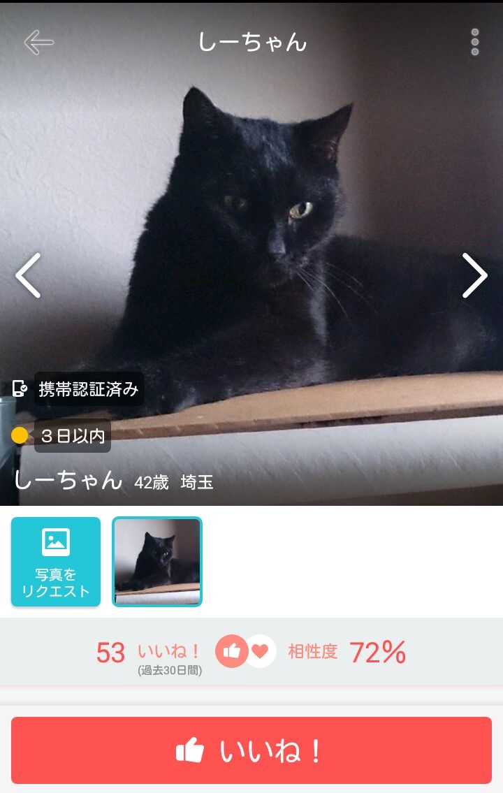 婚活サイト女の地雷 趣味が旅行 ヨガ スイーツ ディズニー 恋愛体質 マンガ アニメ ゲーム モテたいと芸能 婚活サイト女の地雷 趣味が旅行 ヨガ スイーツ ディズニー 恋愛体質 マンガ アニメ ゲーム モテたいと芸能