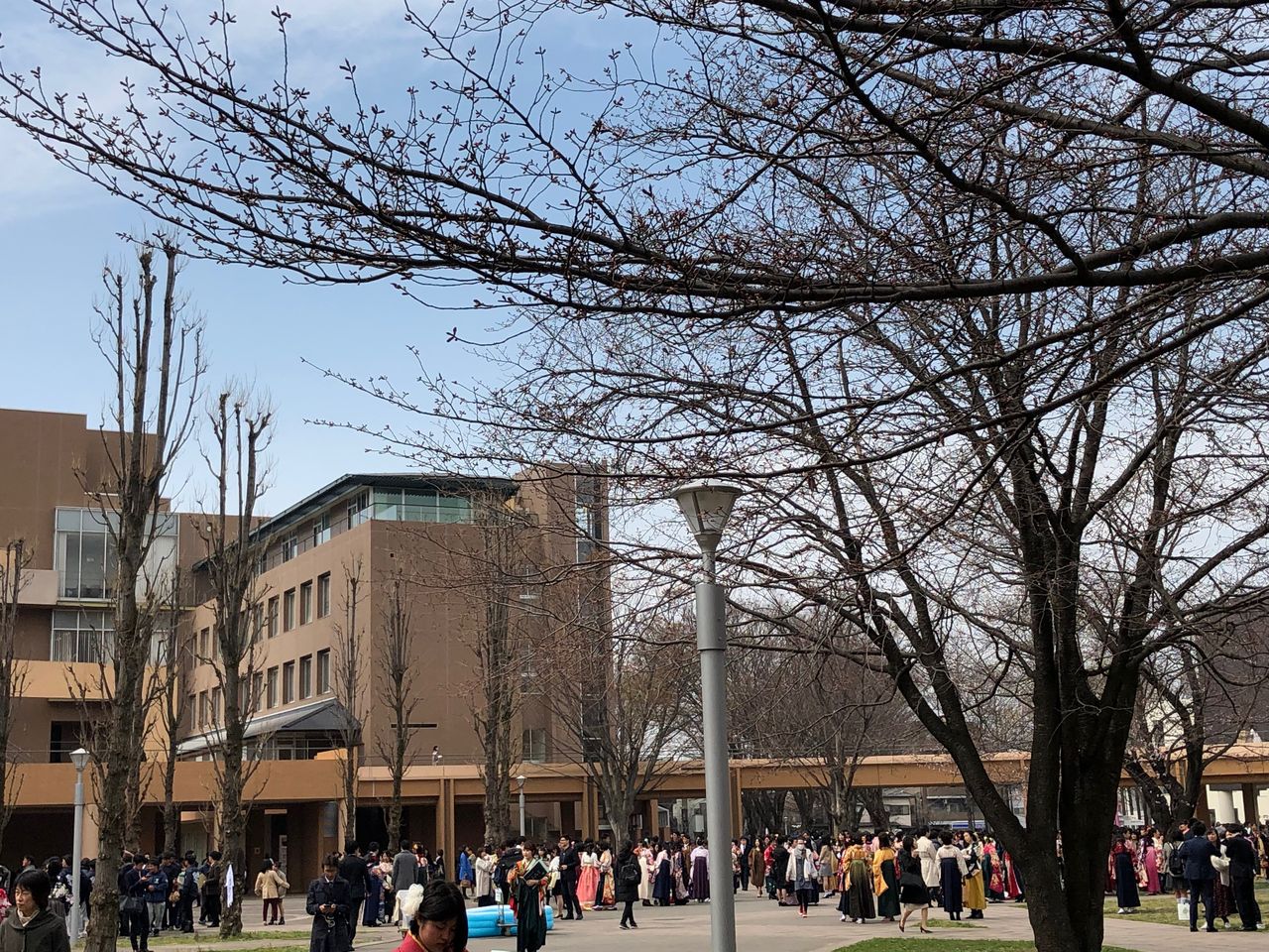 スーツって正装なの 外大の卒業式を見て思ったこと 東京外国語大学硬式テニス部ブログ スーツって正装なの 外大の卒業式を見て思ったこと 東京外国語大学硬式テニス部ブログ