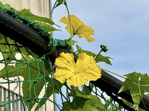 451794849_7598800546896600_7715348321308049179_n