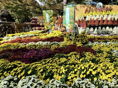 467402017_8437287419714571_5783933611834644886_n