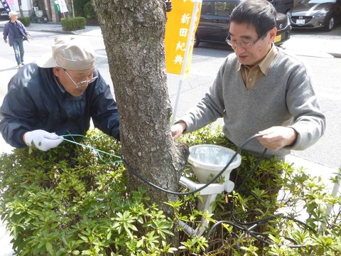 11061990_692197047557019_4162367881956710401_n