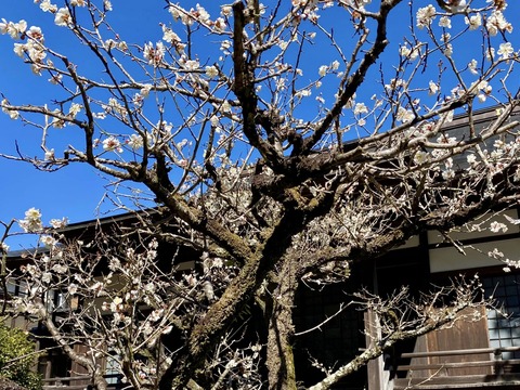 333052891_160001773140440_6999539539540314525_n