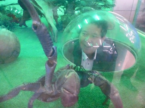 11755209_749120651864658_1835320702371574157_n