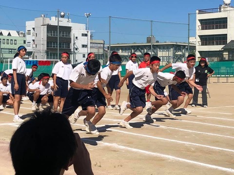 70589199_2226413567468685_2241650290568724480_n