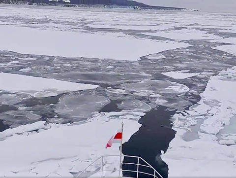 274294445_4607452339364784_8828739150341406132_n