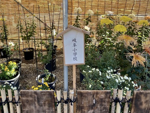 315176966_5368333226610021_8598947473190997020_n