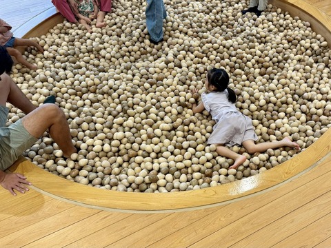 536476095_24093487470334647_9202777598539820371_n