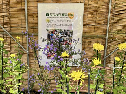 585884217_24967956736221045_72376279676399427_n