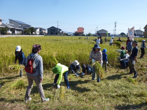 14690960_992637217512999_3956300594845484700_n