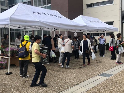 64302375_2067533790023331_2729457317245353984_n