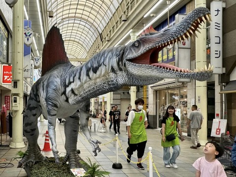 461860895_8117873421655974_8816677463204605651_n