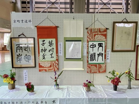 401667684_6558027944307204_2792874602055117801_n