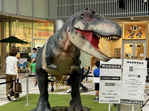 461938311_8117873194989330_9119029893922245321_n