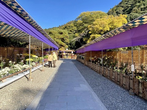 315184670_5368333279943349_2416207331337654108_n