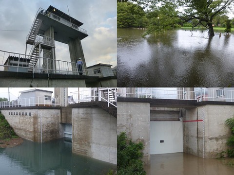 10622746_584365161673542_2562629343822259210_n