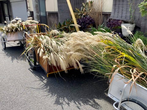 246414092_4189979471112075_3594886066954522052_n