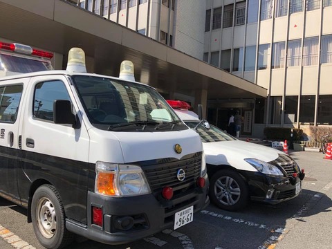 29216455_1458956517547731_4164705447059257404_n