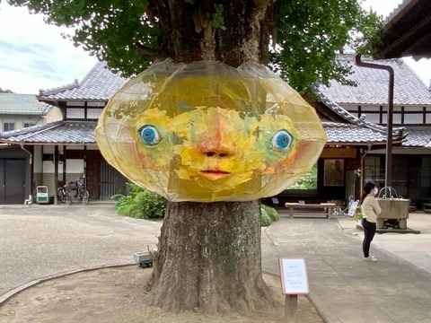 121651697_3176960309080668_2526774275587601115_n