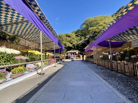 402666341_6570655343044464_5149875035766280706_n