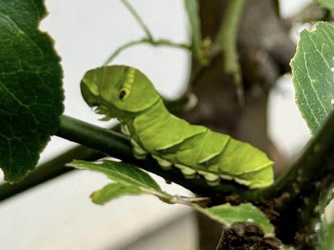 461272993_8041751429268174_7453232290506076287_n