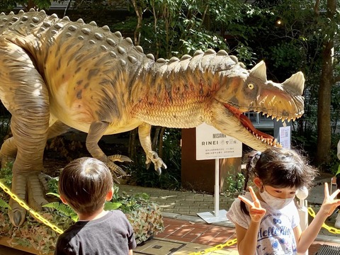 308194509_5210631682380177_5334581485866586777_n