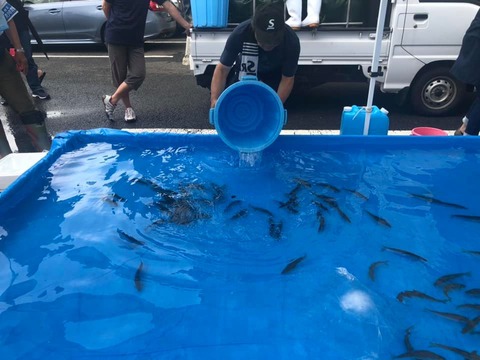 65484876_2089021071207936_6283285705187655680_n