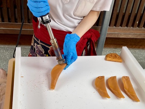 294217734_5019391034837577_5765814656861892211_n