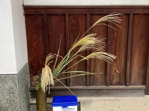 306491483_5270930889683589_3886420158071108384_n