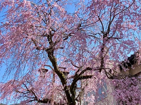 163203805_3582798955163466_5477416542944724286_n