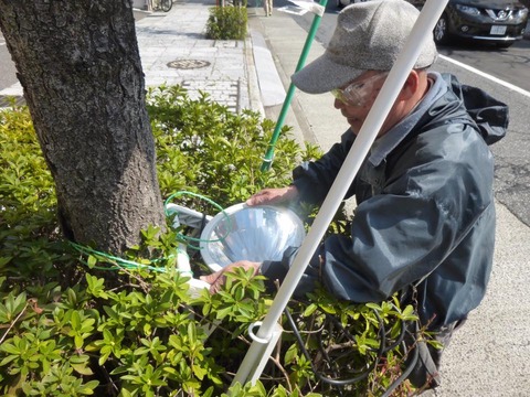 1504086_856121344497921_3221281176900944130_n