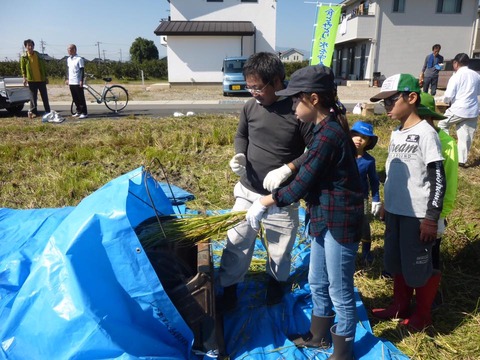 14731198_992637224179665_5120732264362477439_n