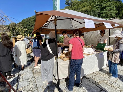 310485882_5278639392246072_223390328845129216_n