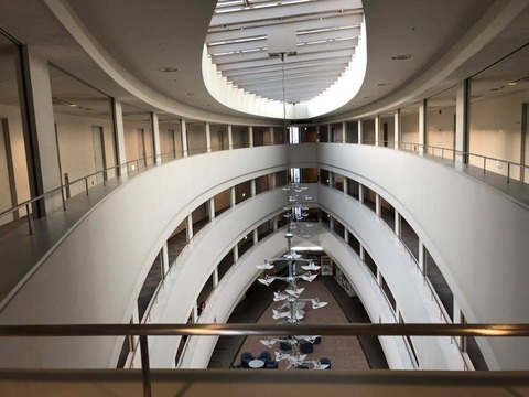 35696519_1549903665119682_6787689589302624256_n