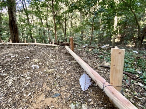 414647922_6710552429054754_1120203023407182070_n