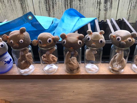 62399997_2059112180865492_1877786910429020160_n