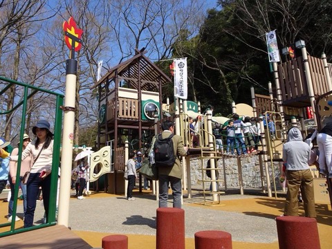 29683135_1472894486153934_8965665846767645367_n