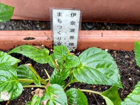 292656665_5009807995795881_5323195089754144640_n