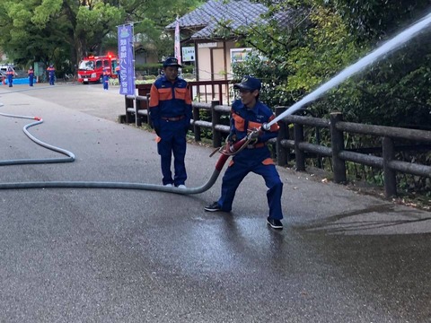 44615217_1720999364676777_7818768309150547968_n