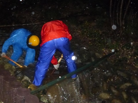 10703926_615827878527270_7090407283689193750_o