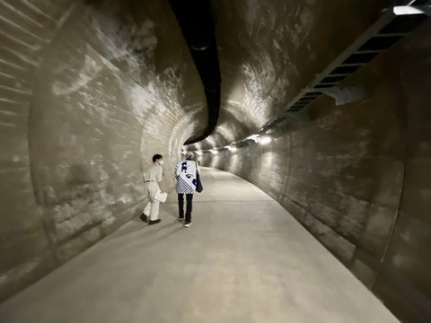 301453692_5203763813066964_2230790937651468171_n