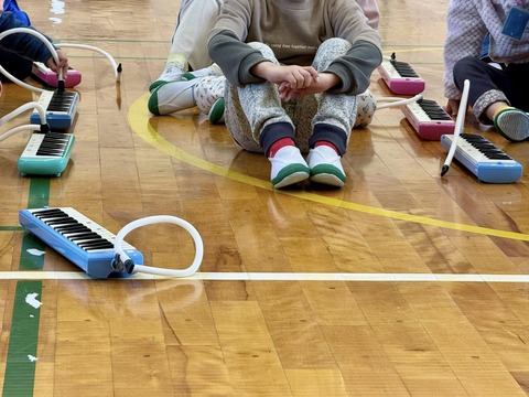 480700217_9022021271241180_2583855250358161590_n