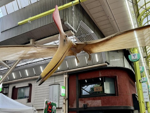 461849109_8117873888322594_247262629309006575_n