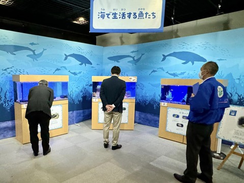 452193121_7614676288642359_1880501598894828631_n